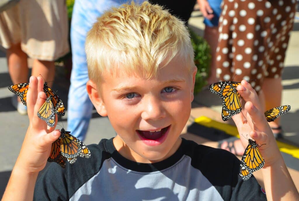 Boy with Butterflies