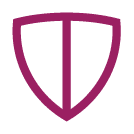 Protection Shield Icon